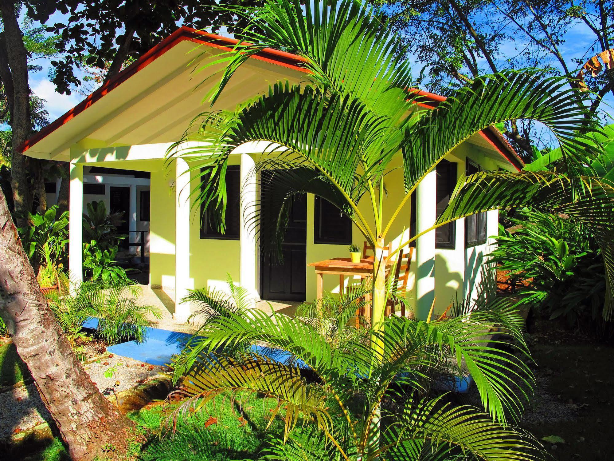 Bungalows Of Las Galeras Exteriör bild