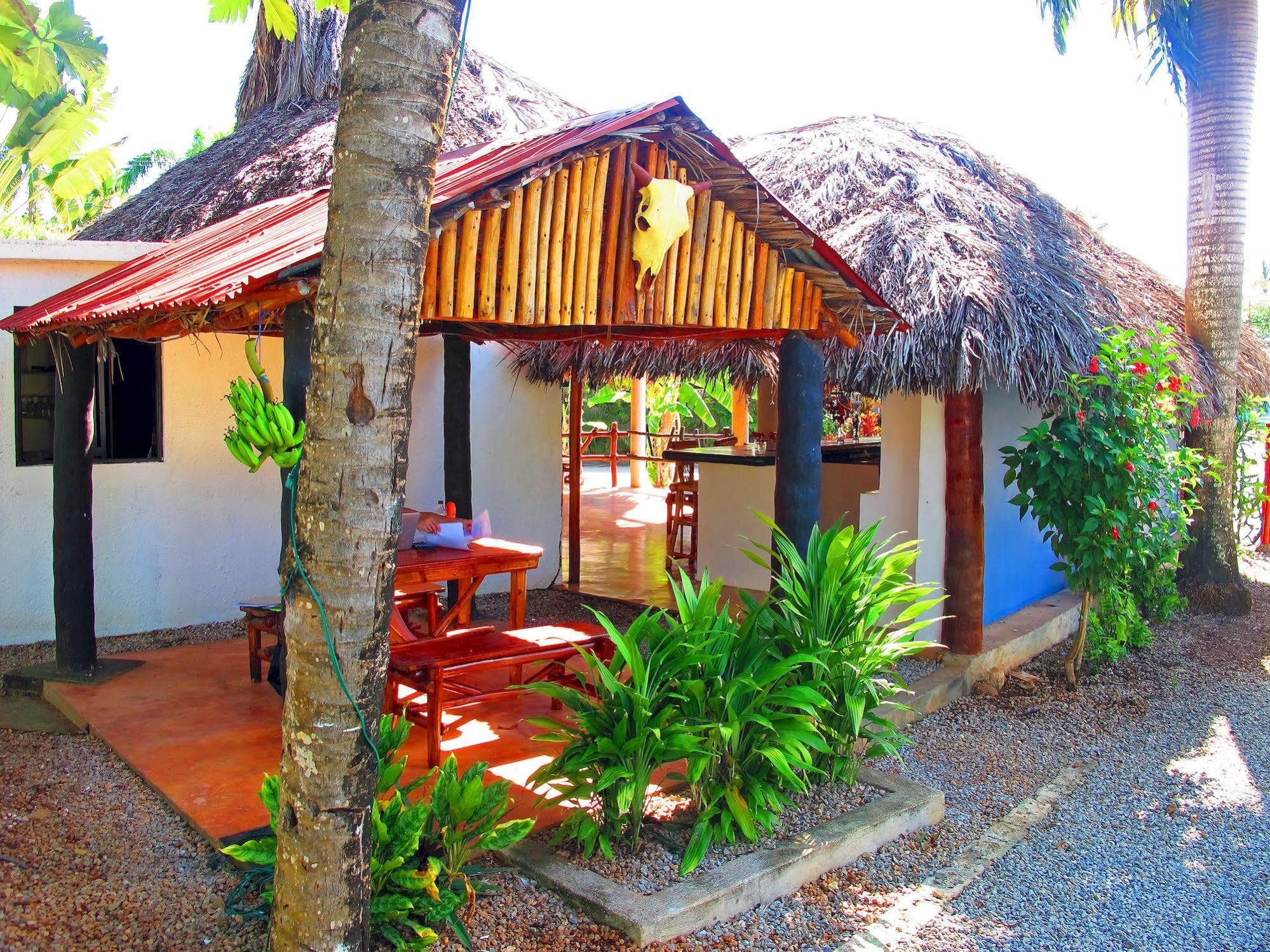 Bungalows Of Las Galeras Exteriör bild