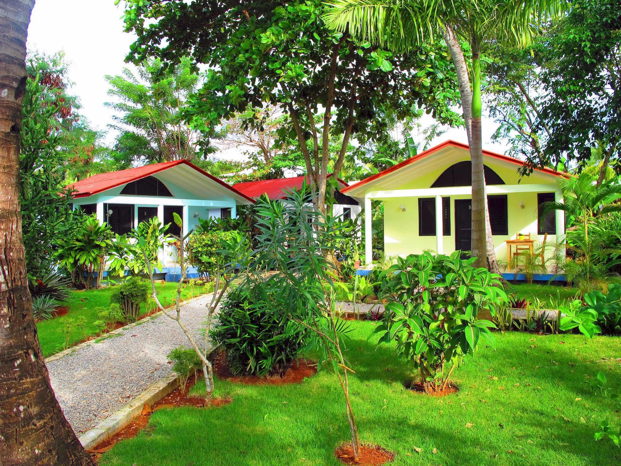 Bungalows Of Las Galeras Exteriör bild