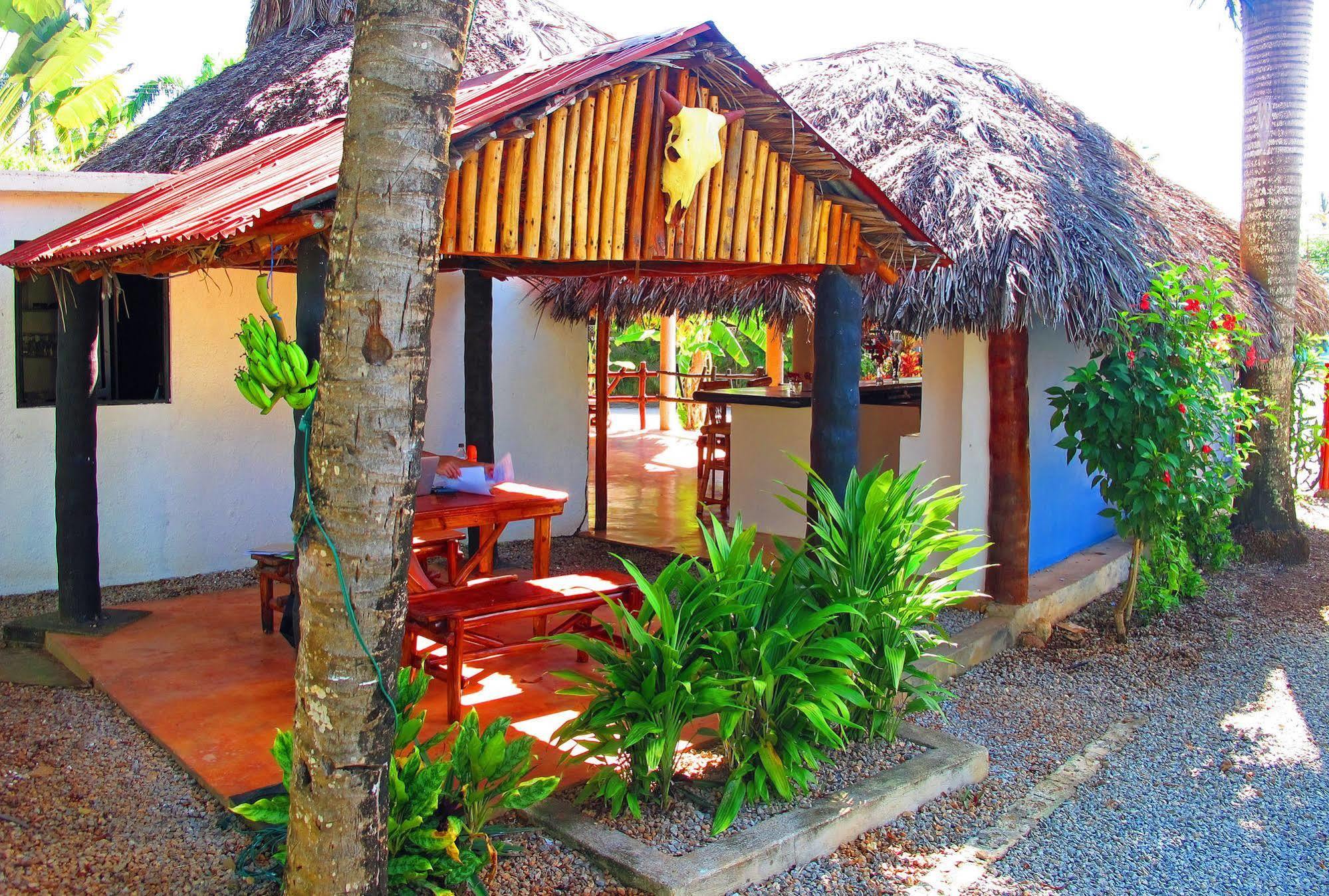 Bungalows Of Las Galeras Exteriör bild